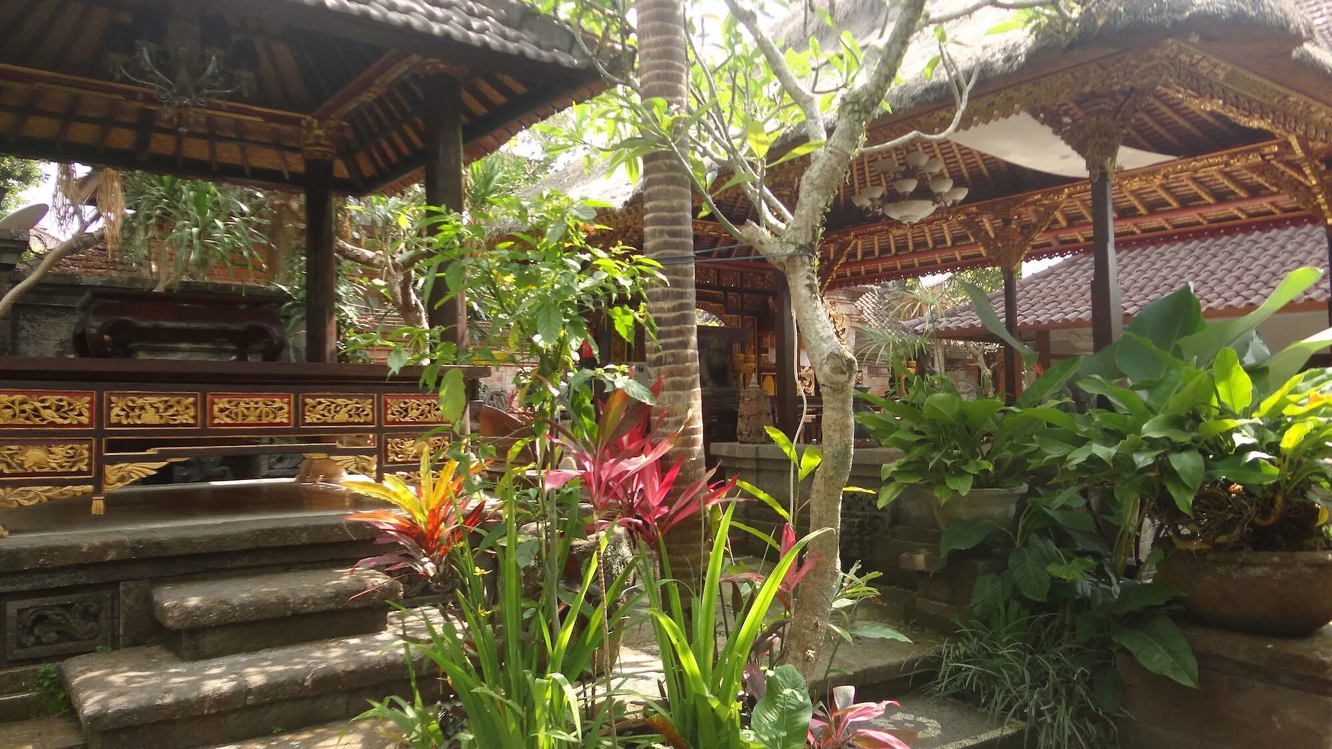 Monkey Forest Bungalow Ubud Indonesia